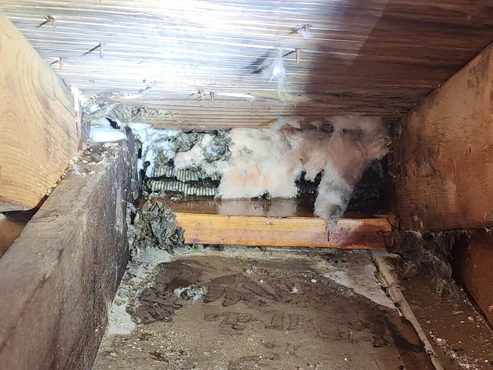 Trusted landscape installation for outdoor upgrades across Ocean, NJ - Coastal Pest Control & Lawn Care