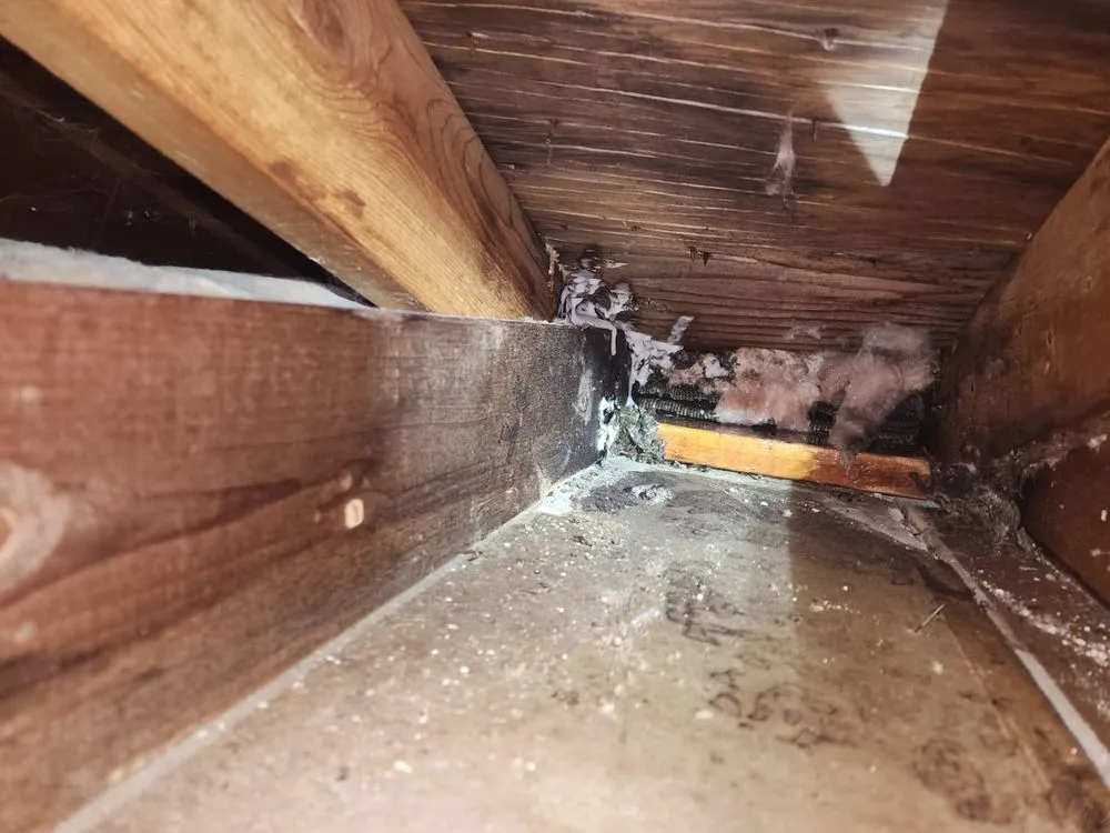 Local landscaping services for beautiful yards in Ocean, NJ by Coastal Pest Control & Lawn Care