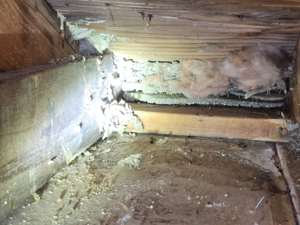 Professional landscaping services in Ocean, NJ by Coastal Pest Control & Lawn Care