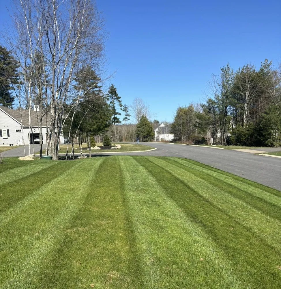 Top-rated landscaping services experts serving Wells, ME - Coastal Pines Landscaping