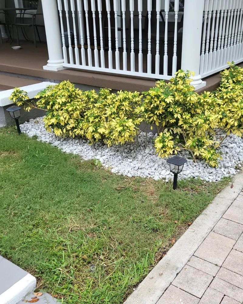 Professional landscaping services in Pompano Beach, FL - Coastal Property Landscaping