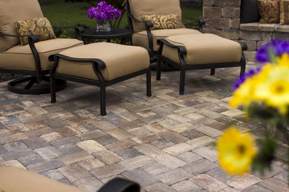 Expert yard maintenance near you in North Port, FL by Coastal Quality Services