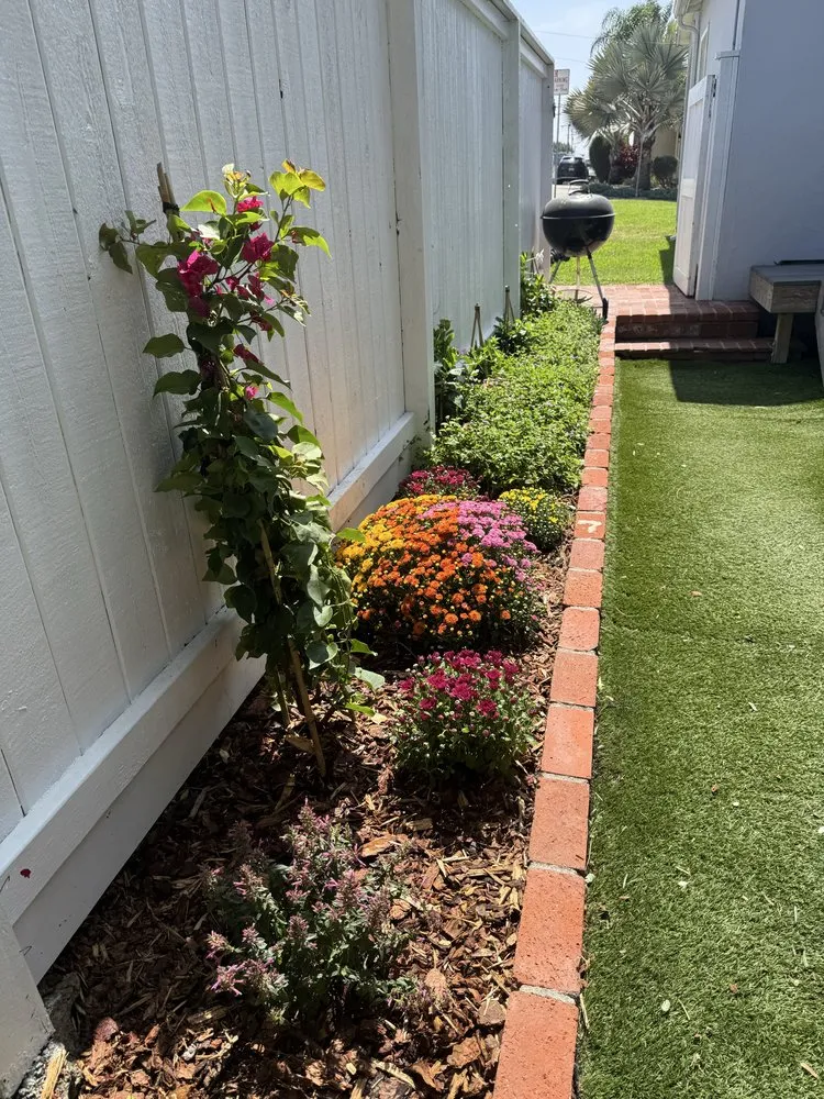 Expert yard maintenance near you in Marina del Rey, CA by Coastal Roots