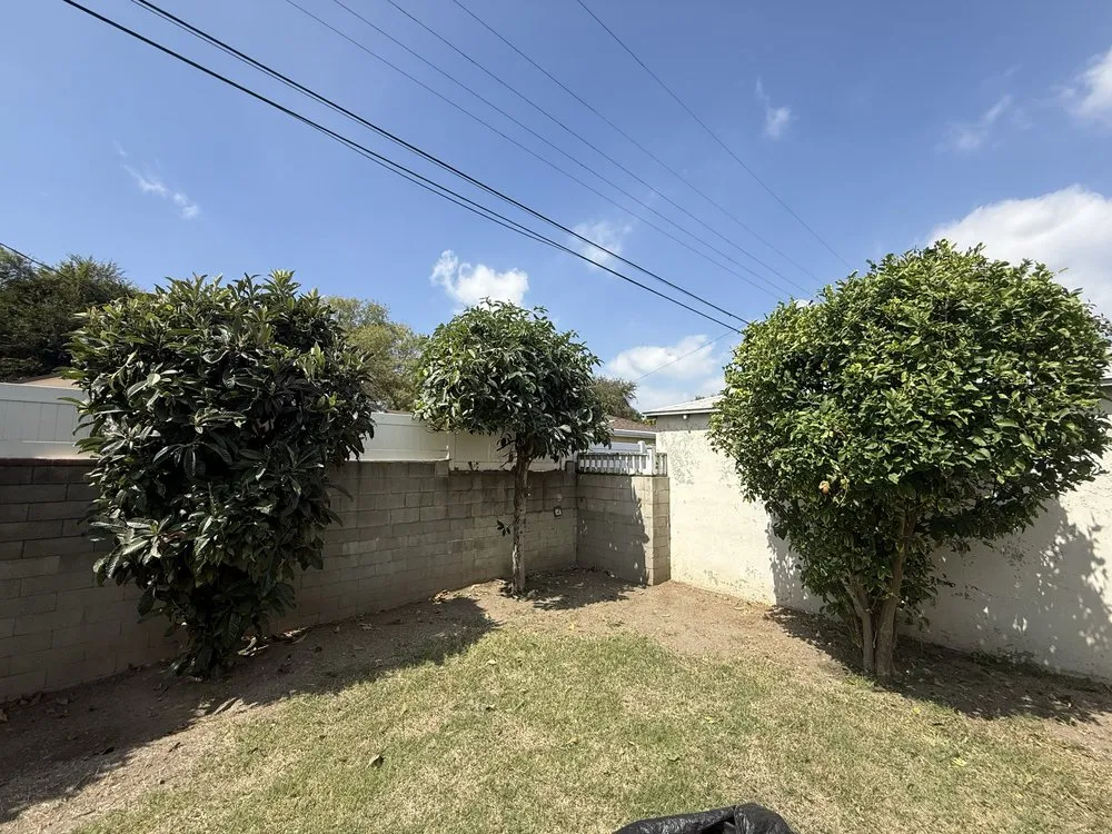 Trusted residential landscaping for beautiful yards in Marina del Rey, CA by Coastal Roots