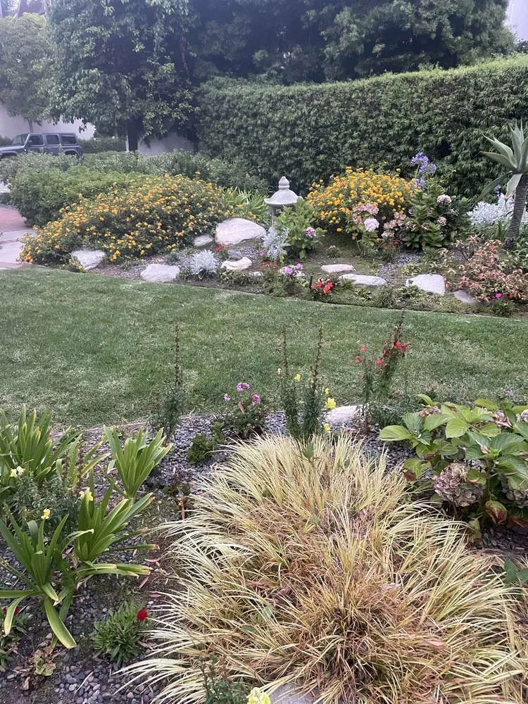 Affordable outdoor landscaping in Marina del Rey, CA by Coastal Roots