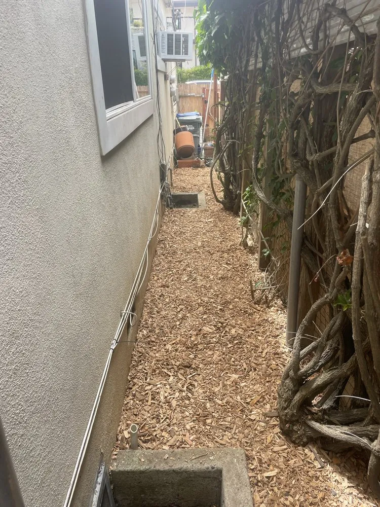 Top-rated lawn mowing service in Marina del Rey, CA by Coastal Roots