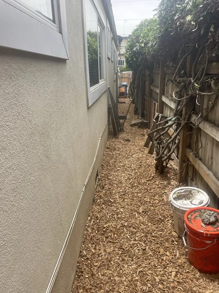 Expert outdoor landscaping in Marina del Rey, CA by Coastal Roots