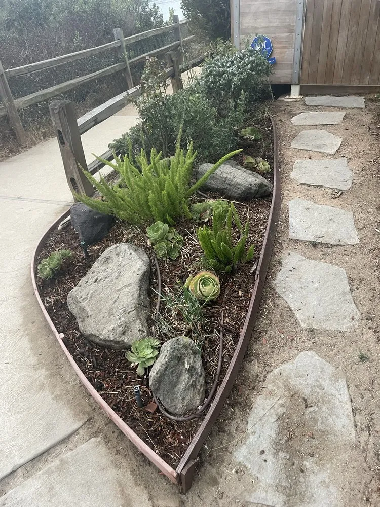 Professional yard cleanup service for residential properties in Marina del Rey, CA by Coastal Roots