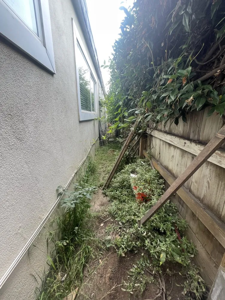 Professional garden landscaping experts serving Marina del Rey, CA - Coastal Roots