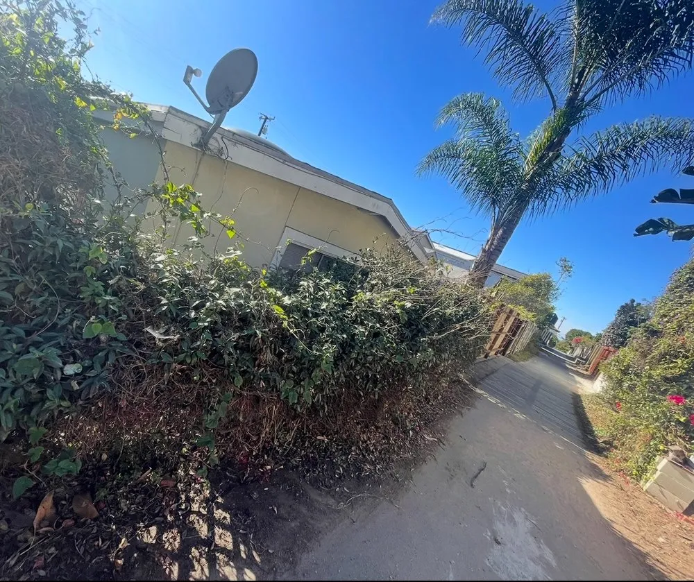 Affordable garden landscaping in Marina del Rey, CA by Coastal Roots