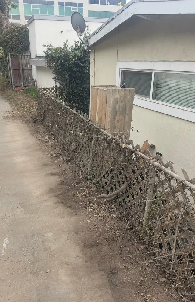 Reliable landscape design in Marina del Rey, CA - Coastal Roots