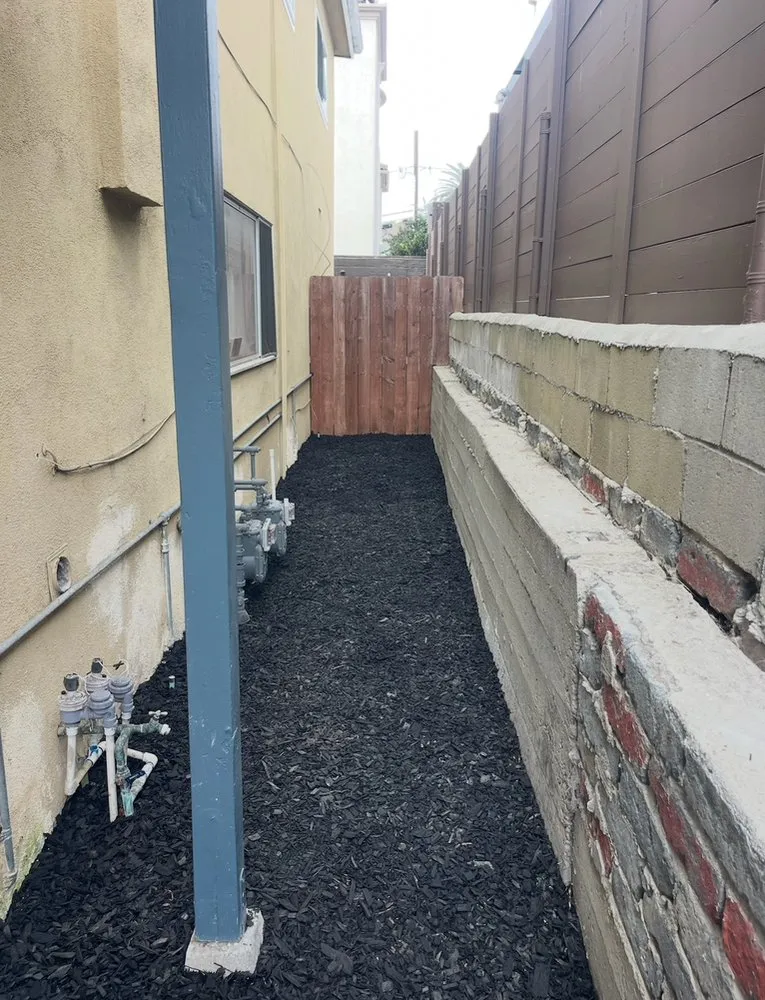 Top-rated outdoor landscaping for homes in Marina del Rey, CA by Coastal Roots