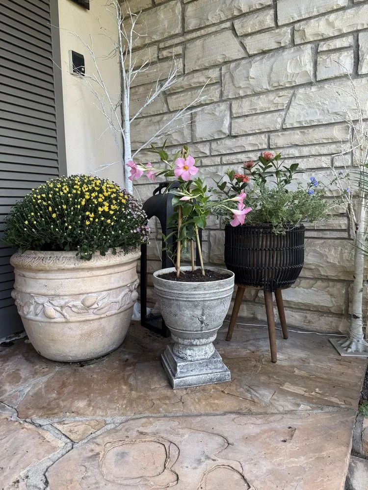 Trusted lawn mowing service in Marina del Rey, CA by Coastal Roots