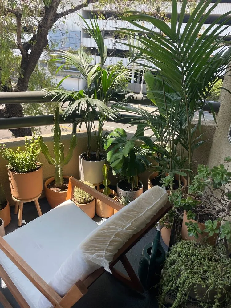 Trusted yard cleanup service near you across Marina del Rey, CA - Coastal Roots