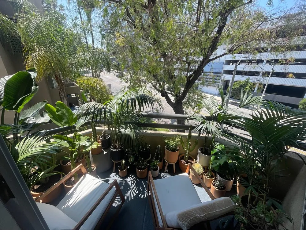 Affordable landscaping services in Marina del Rey, CA by Coastal Roots