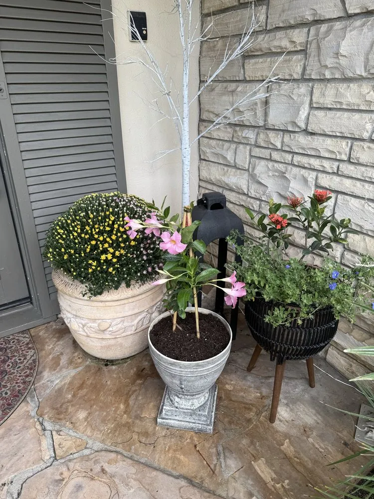 Affordable yard cleanup service in Marina del Rey, CA by Coastal Roots