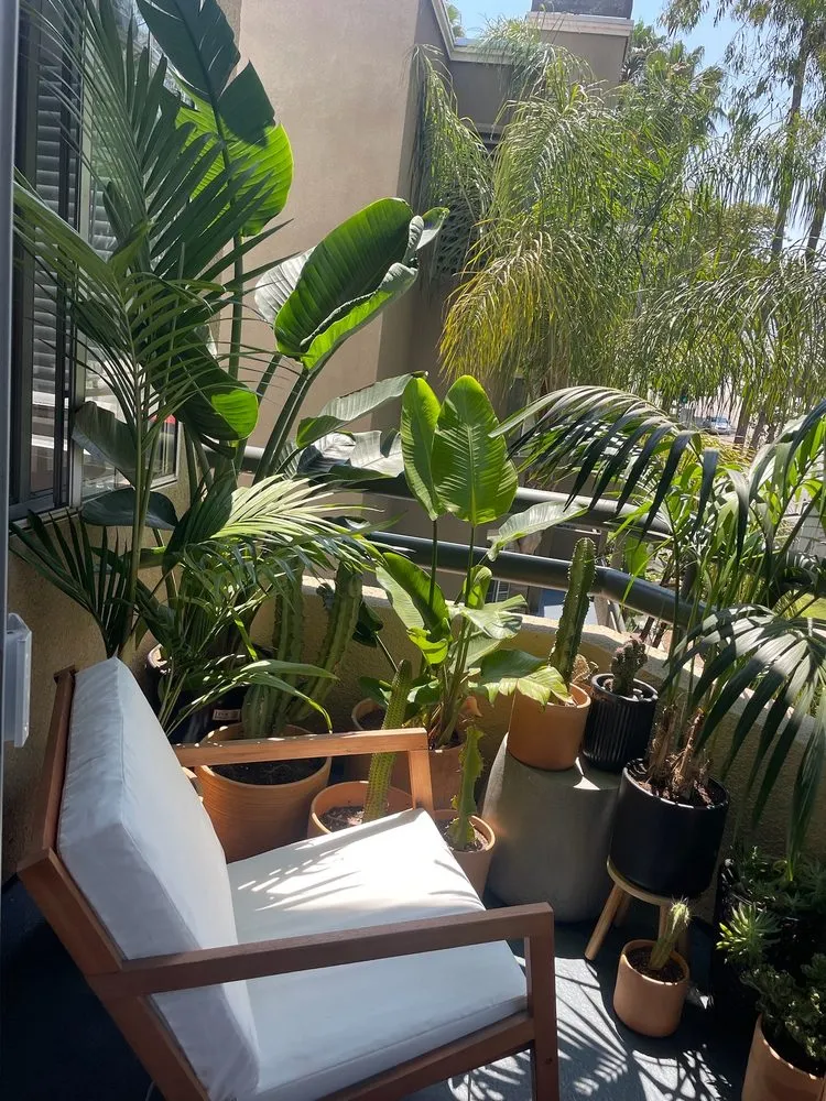 Custom landscape design for homes across Marina del Rey, CA - Coastal Roots