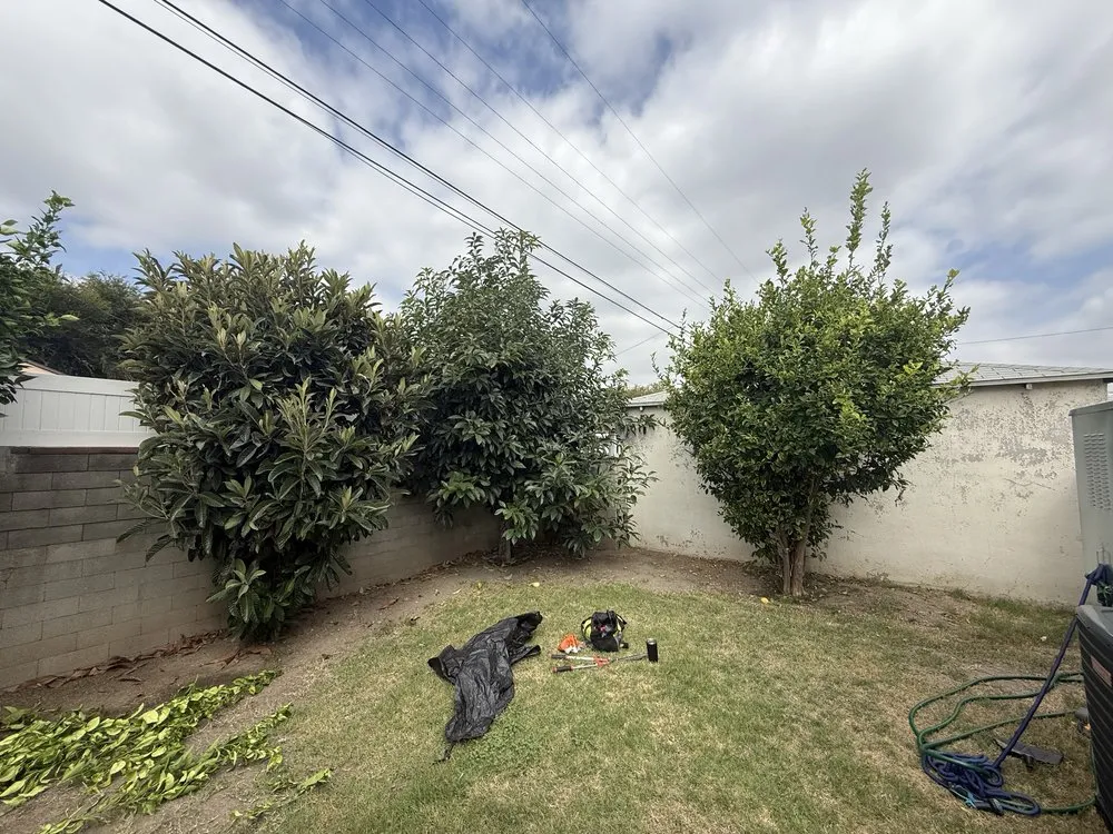 Affordable lawn mowing service for year-round maintenance across Marina del Rey, CA - Coastal Roots