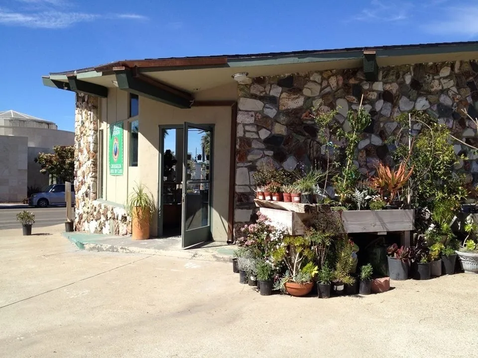 Affordable landscaping services in San Diego, CA - Coastal Sage Gardening