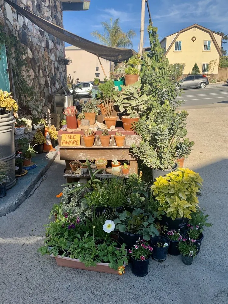 Expert lawn care service experts serving San Diego, CA - Coastal Sage Gardening