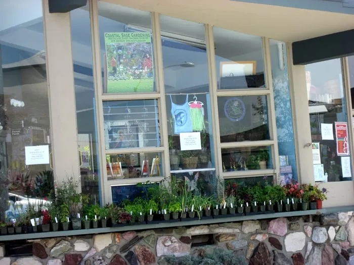 Professional lawn mowing service for year-round maintenance in San Diego, CA by Coastal Sage Gardening