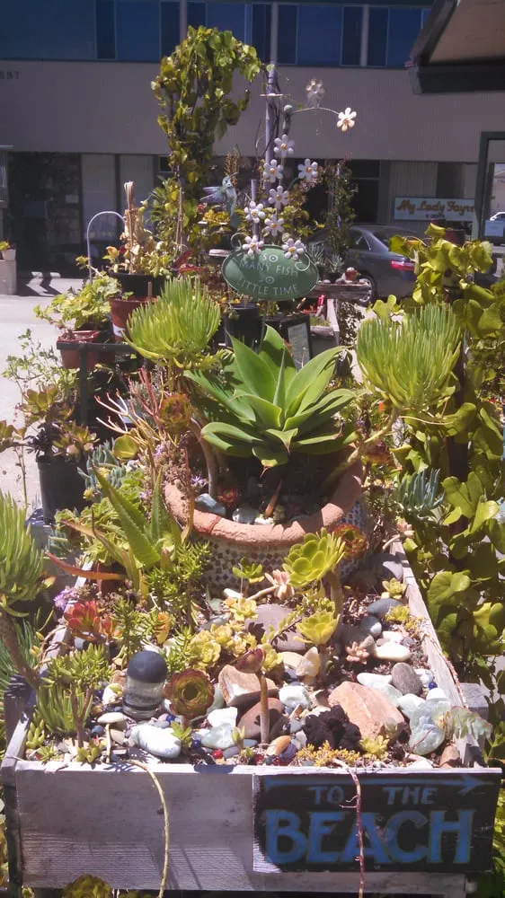 Expert lawn care service in San Diego, CA - Coastal Sage Gardening