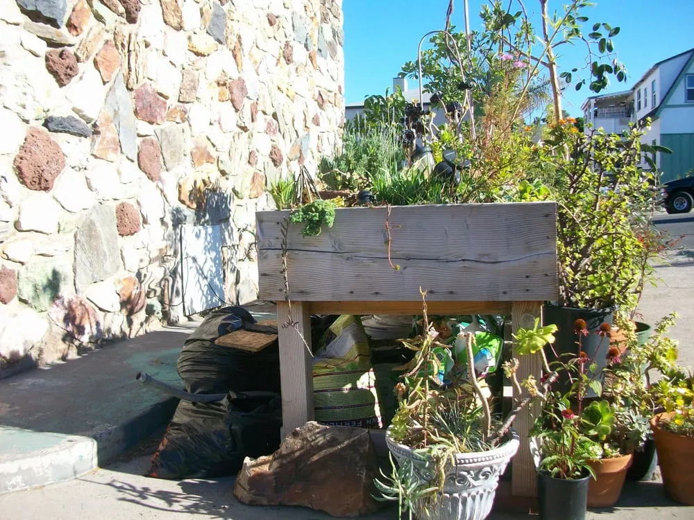 Professional landscape installation in San Diego, CA by Coastal Sage Gardening