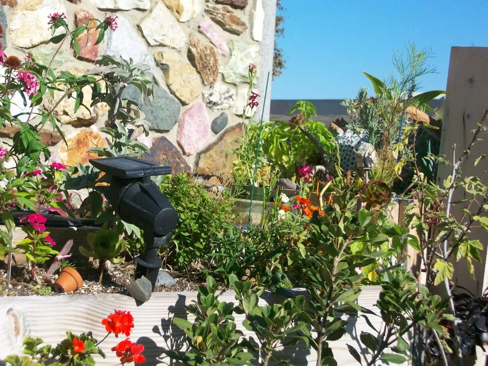 Trusted lawn mowing service for beautiful yards across San Diego, CA - Coastal Sage Gardening