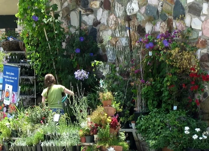 Local landscape installation in San Diego, CA by Coastal Sage Gardening