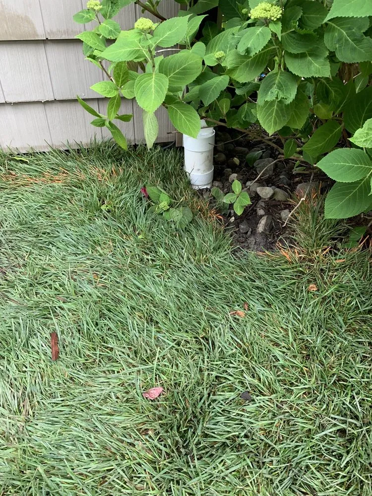 Trusted lawn care service in Bethany Beach, DE by Coastal Scapes