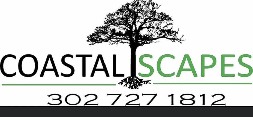 Custom landscaping services for homes across Bethany Beach, DE - Coastal Scapes