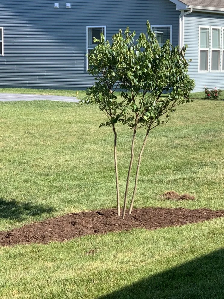 Expert outdoor landscaping experts serving Bethany Beach, DE - Coastal Scapes