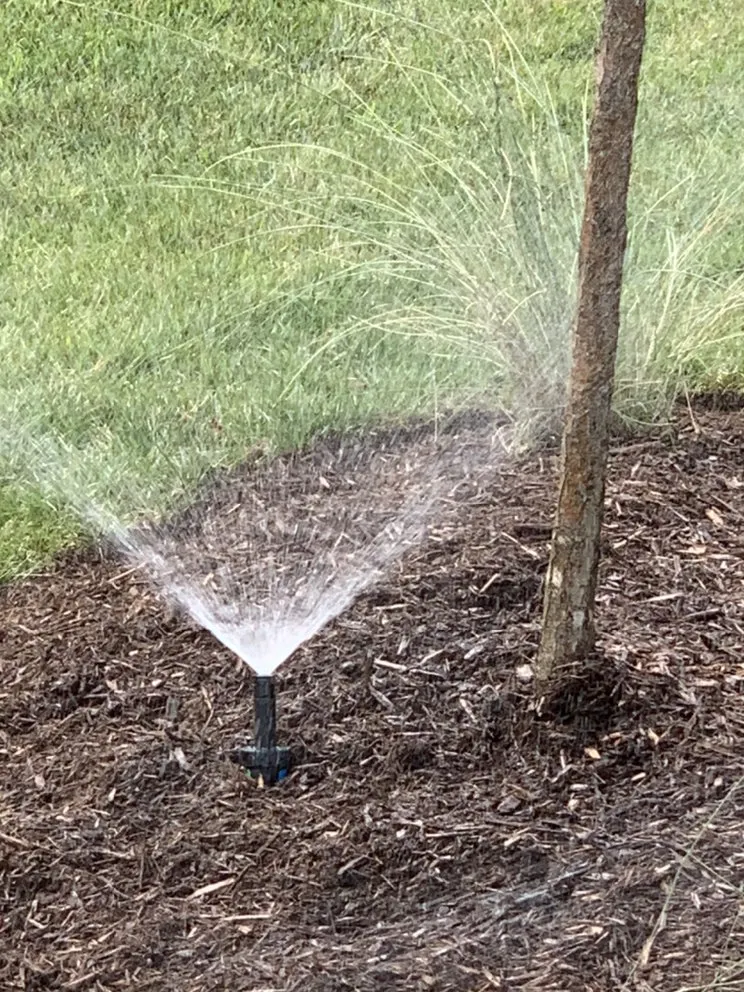 Custom yard maintenance near you in Bethany Beach, DE by Coastal Scapes