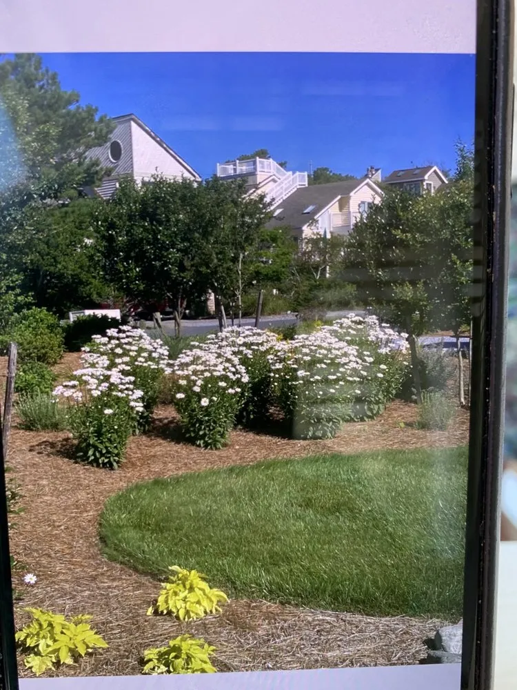 Affordable garden landscaping in Bethany Beach, DE - Coastal Scapes