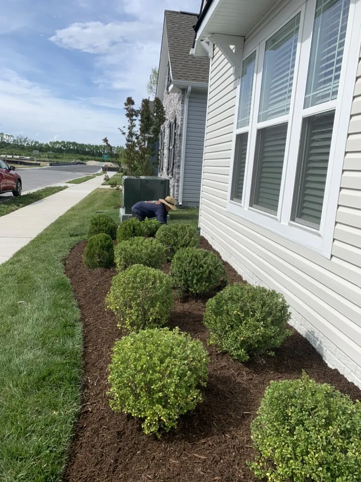 Expert yard cleanup service experts serving Bethany Beach, DE - Coastal Scapes