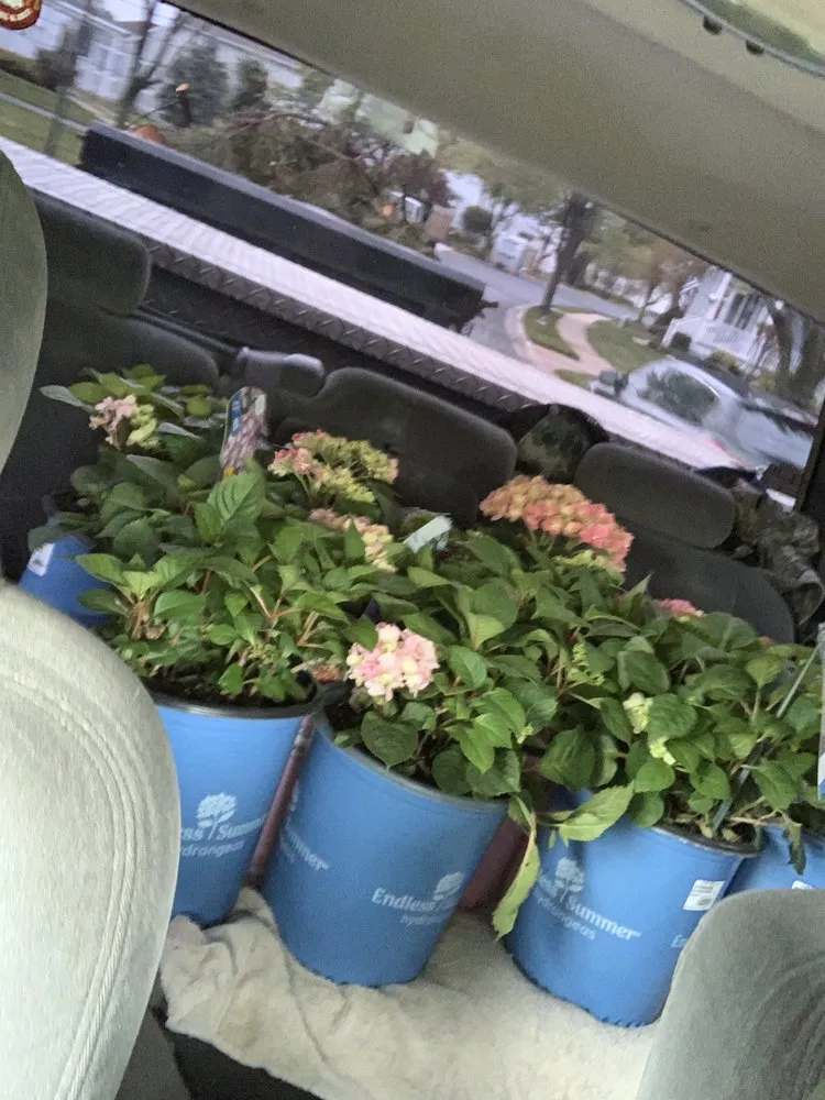 Local lawn care service in Bethany Beach, DE - Coastal Scapes