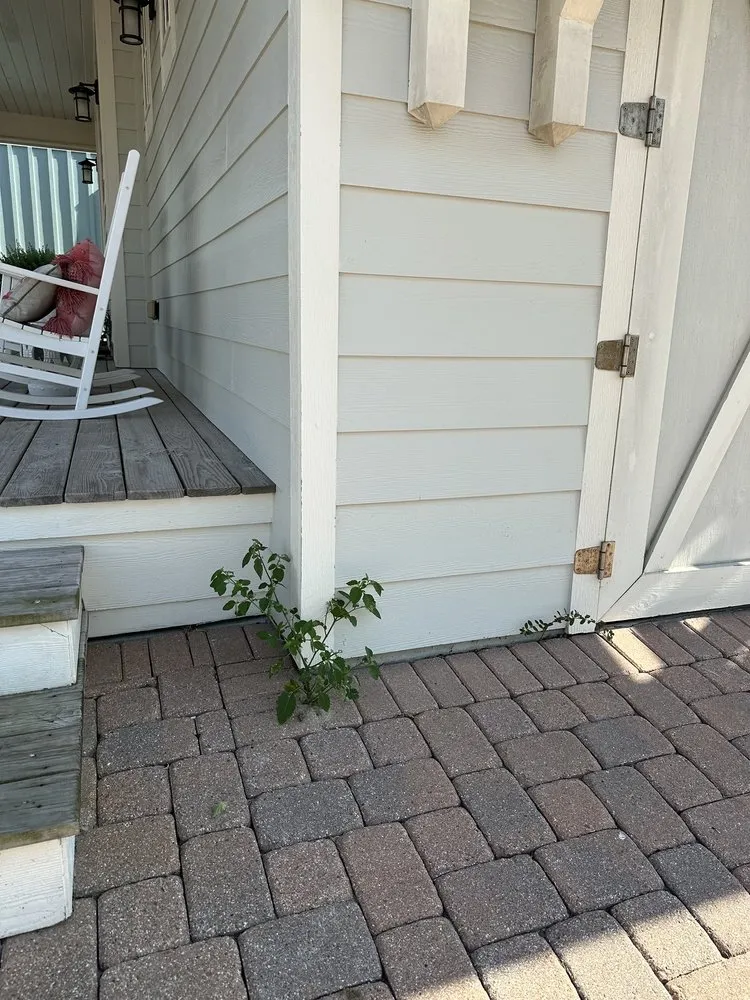 Custom landscape installation with custom design in Port Aransas, TX by Coastal Scapes