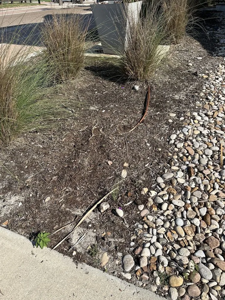 Affordable lawn care service with custom design in Port Aransas, TX by Coastal Scapes