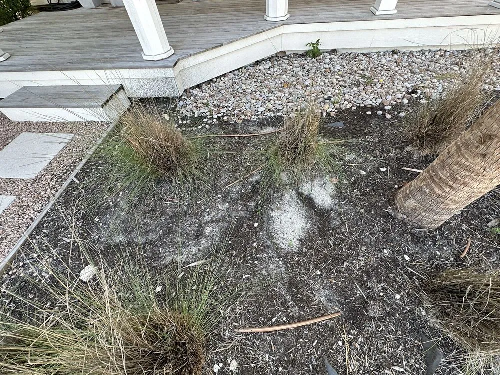 Custom landscaping services for homes in Port Aransas, TX by Coastal Scapes