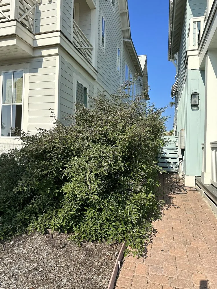 Professional garden landscaping in Port Aransas, TX by Coastal Scapes