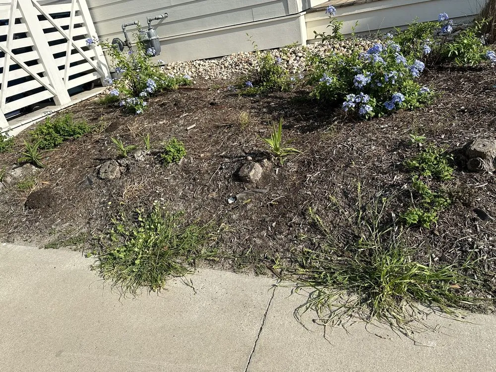 Top-rated lawn mowing service for beautiful yards across Port Aransas, TX - Coastal Scapes