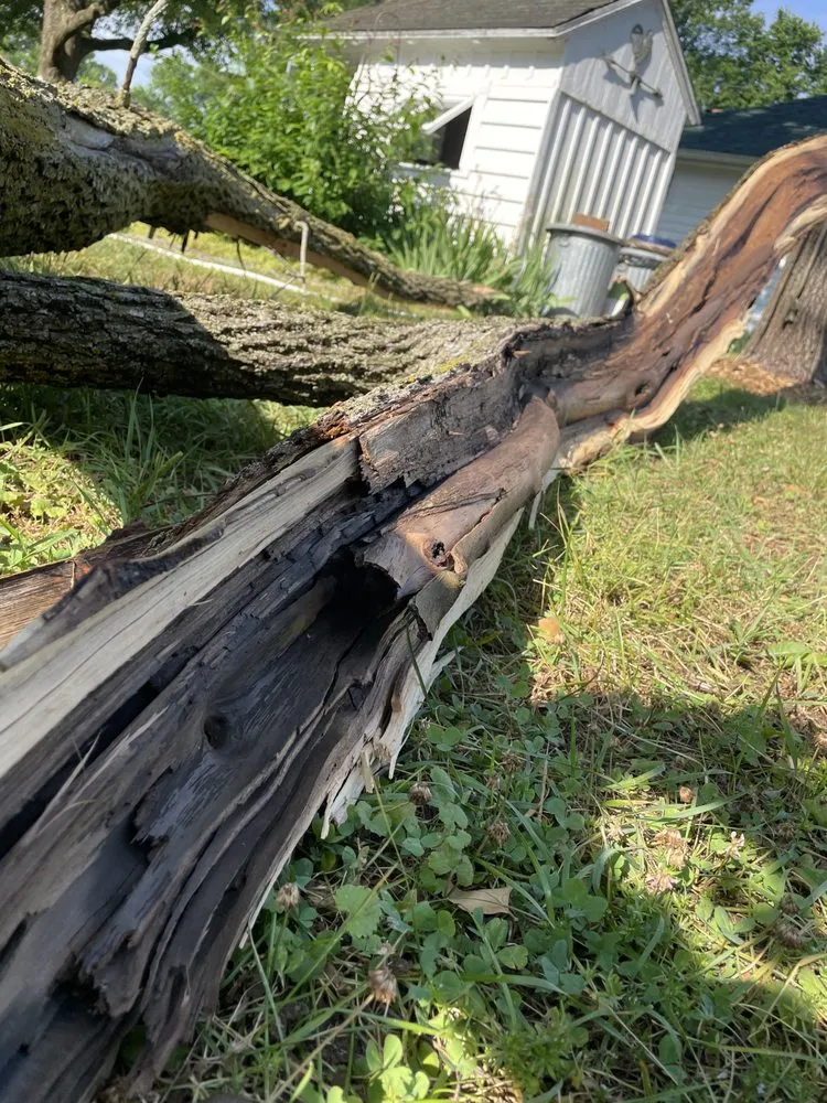 Expert landscape design experts serving Salisbury, MD - Coastal Scapes