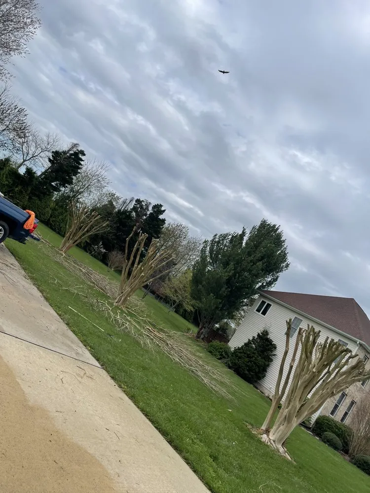 Trusted lawn mowing service in Salisbury, MD - Coastal Scapes