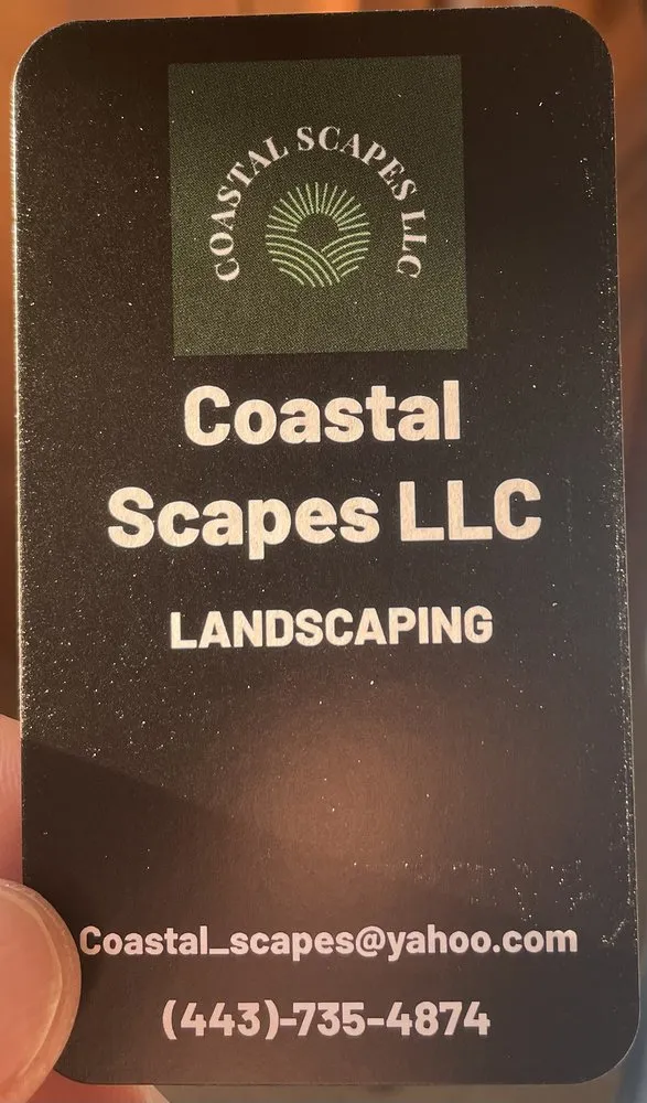 Reliable yard cleanup service in Salisbury, MD - Coastal Scapes