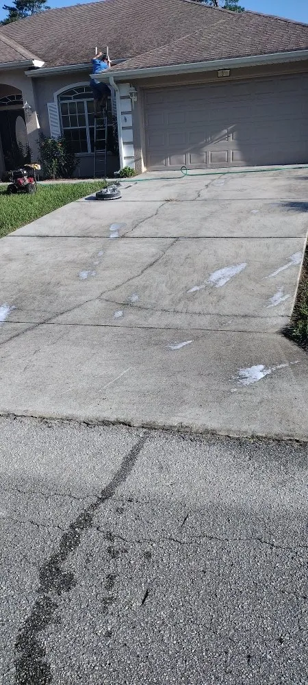 Affordable yard cleanup service in Homosassa, FL by Coastal Services