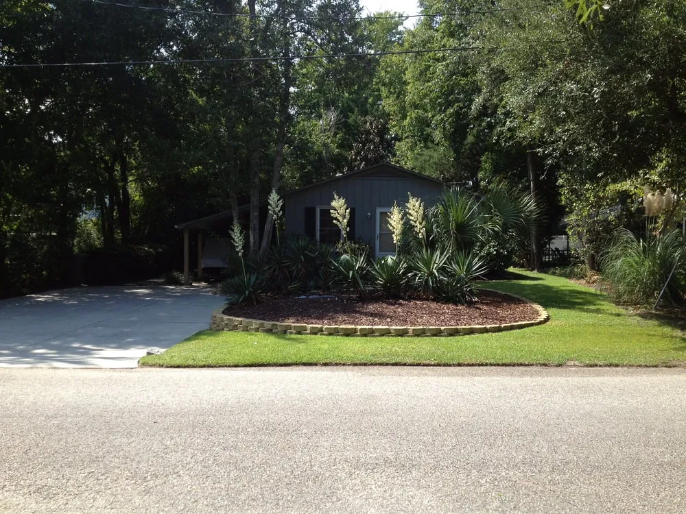 Affordable yard cleanup service in Murrells Inlet, SC - Coastal Services