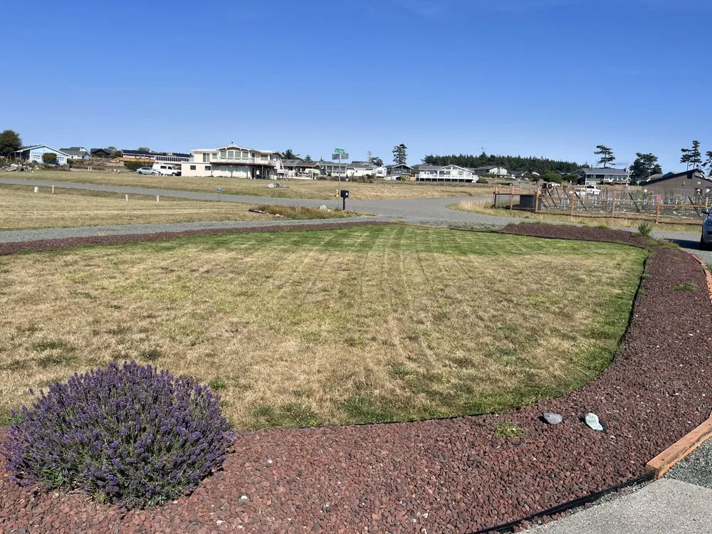 Trusted yard cleanup service for homes across Seabrook, SC - Coastal Shores Lawn Care