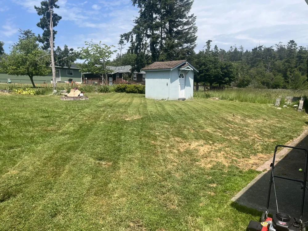 Top-rated outdoor landscaping in Seabrook, SC - Coastal Shores Lawn Care