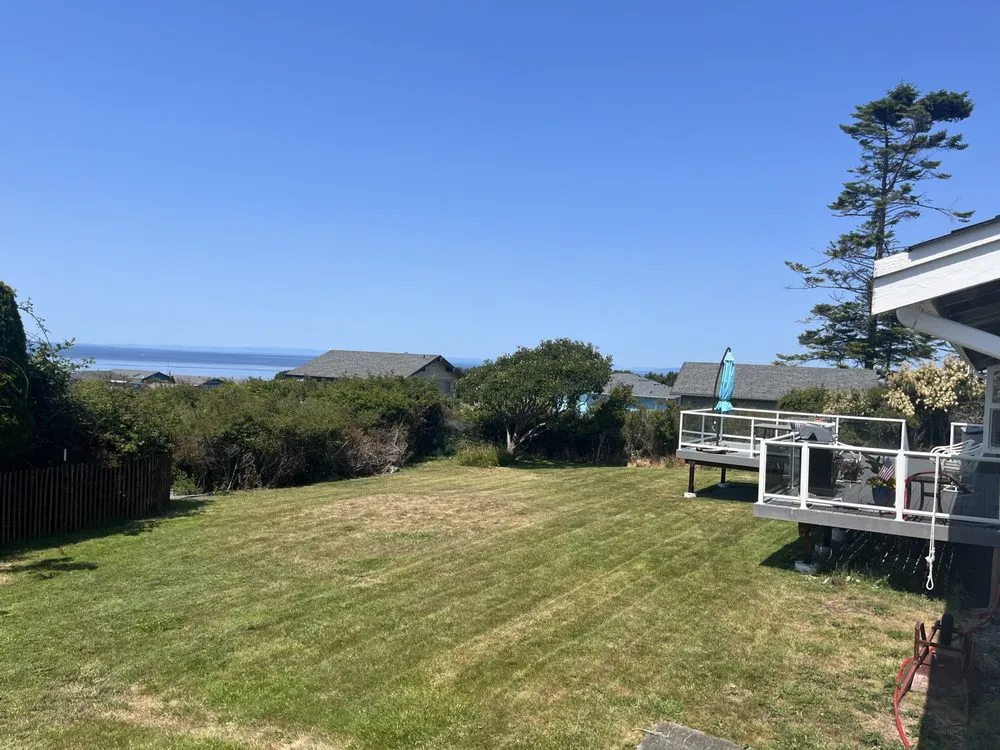 Local yard cleanup service experts serving Seabrook, SC - Coastal Shores Lawn Care