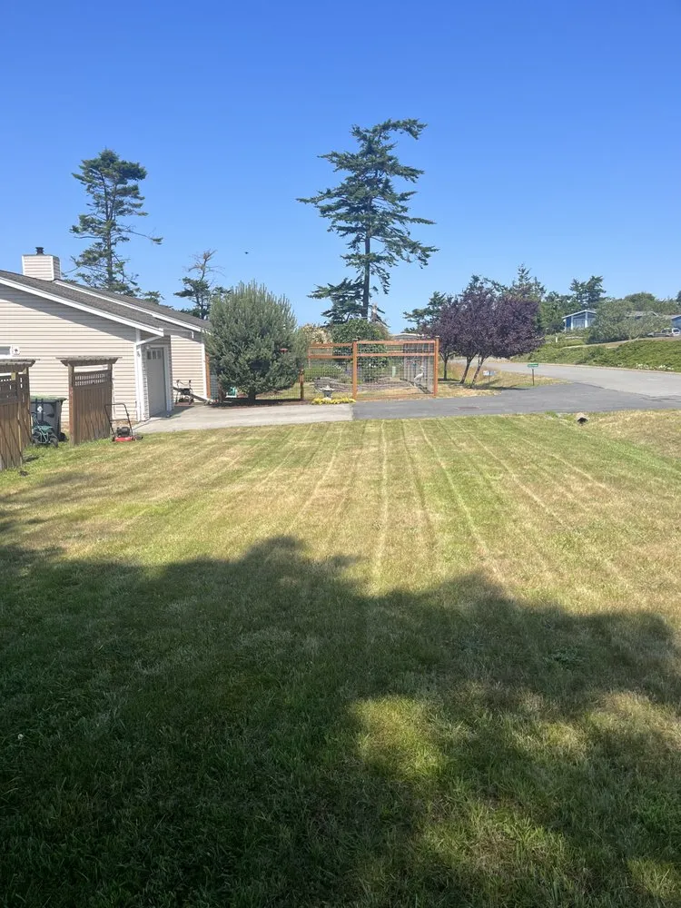 Trusted landscaping services experts serving Seabrook, SC - Coastal Shores Lawn Care